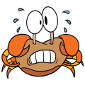 Crabe peureux
