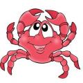 Poeme crabe tambour
