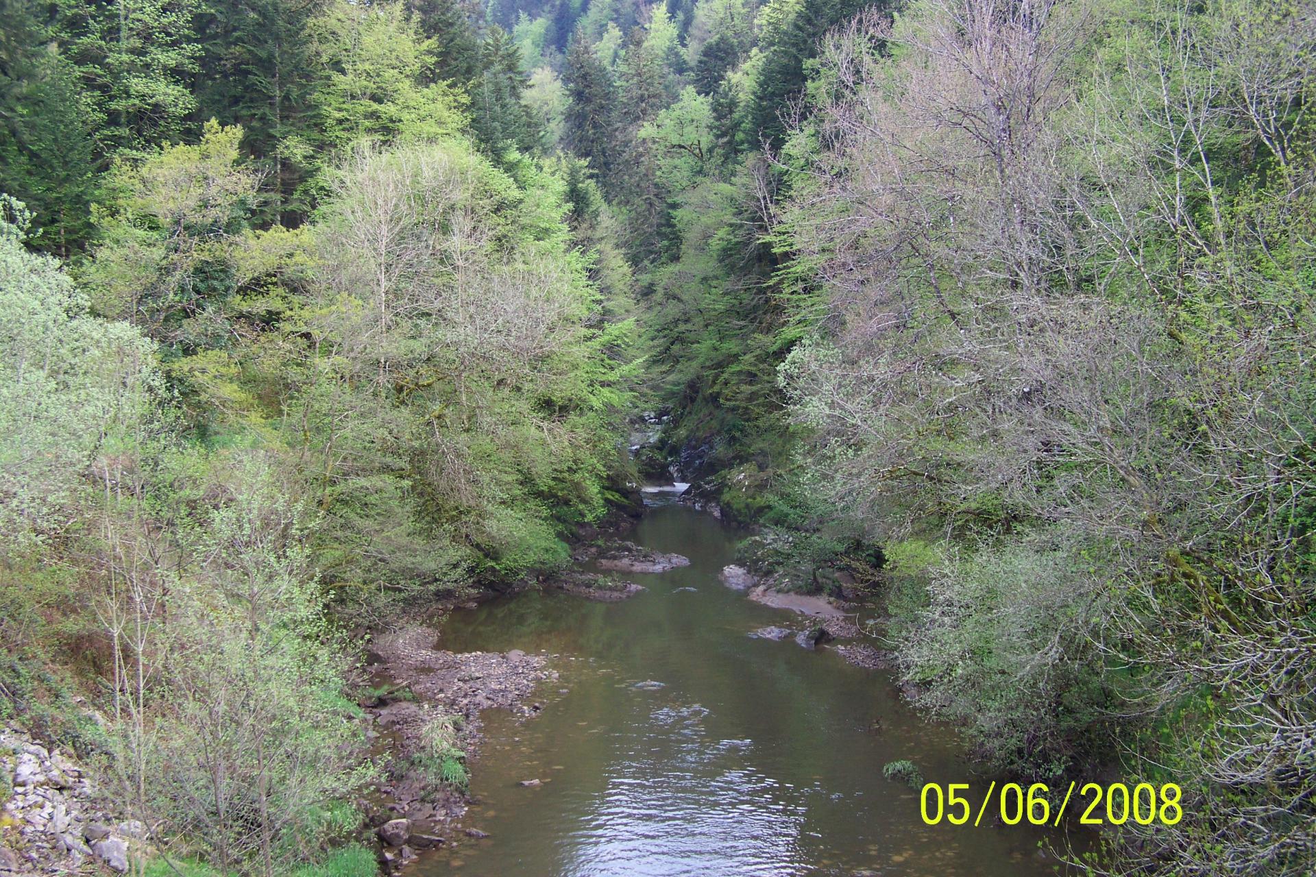 Cantal mai 2008 44 