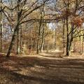 Cantal novembre 2018 2