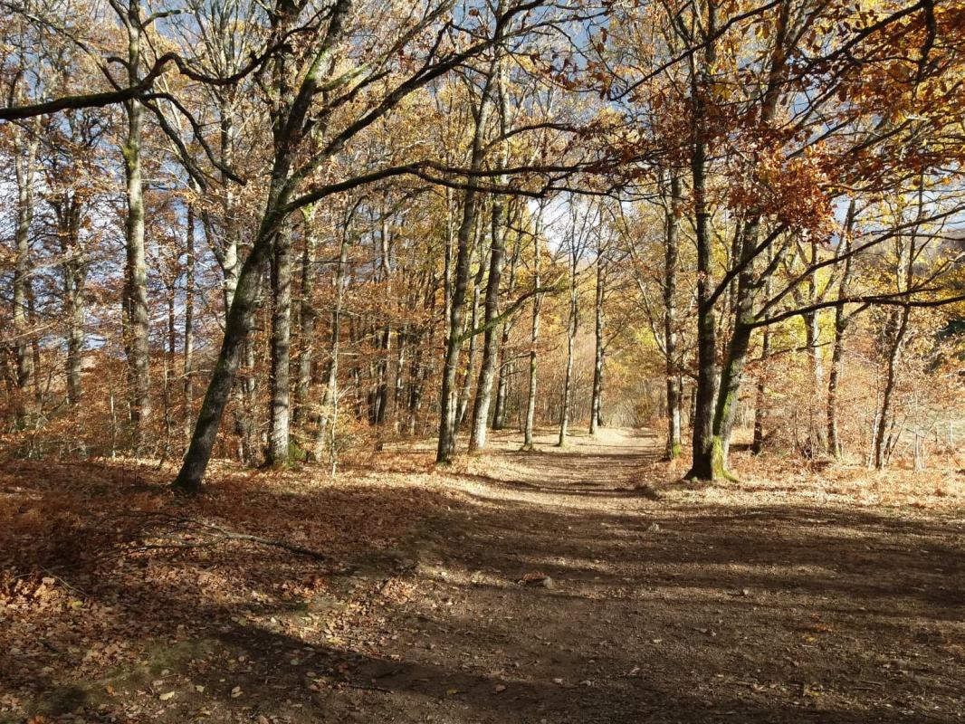 Cantal novembre 2018 2