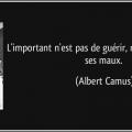 Citation albert camus citation l important n est pas de guerir mais de vivre avec ses maux albert camus 117866