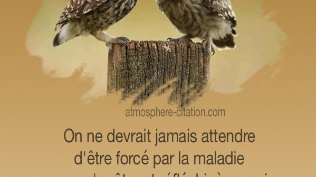 FAIRE FACE A LA MALADIE SANS SOMBRER DANS LA DÉPRESSION