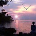 Coucher de soleil poeme maux aigris en mots gris