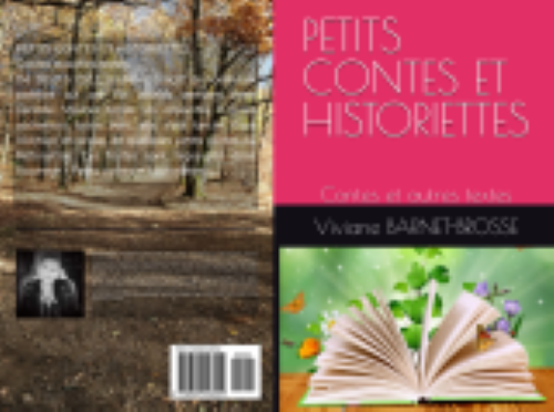 Couverture amazon petits contes et historiettes redimensionne grand