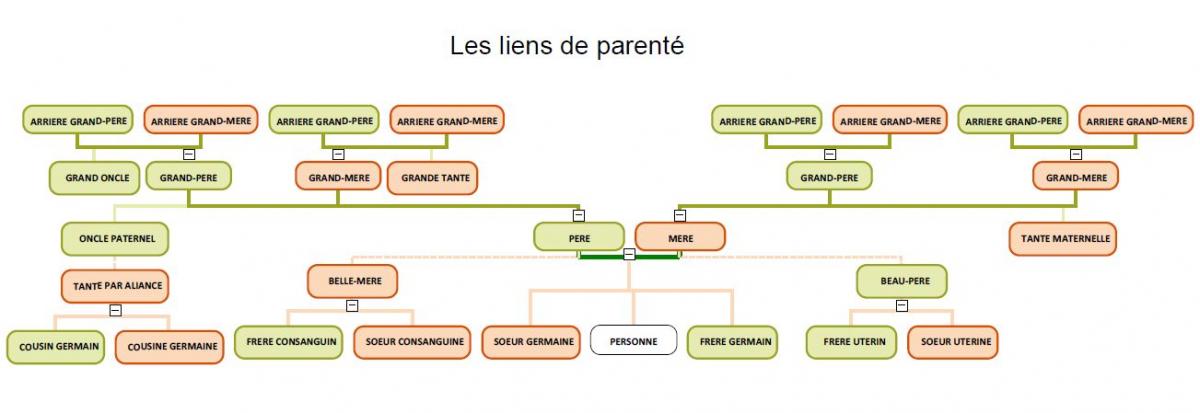 Droits parentes liens