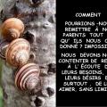 Parents mots doux pour les parents 11 638