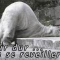 Poeme reveil tres difficile