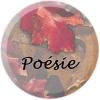 Poesie poeme sonnet pour sonnee